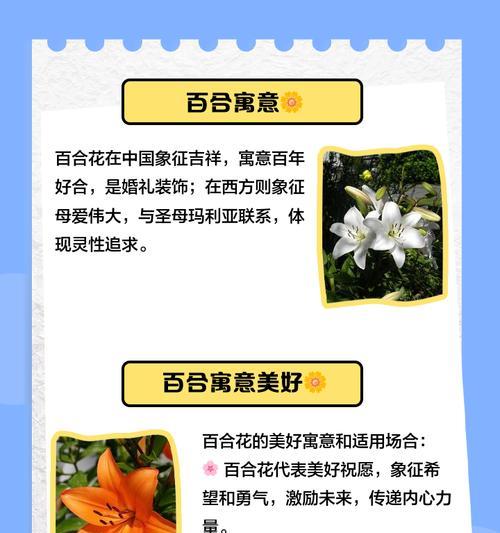 插百合花的寓意是什么意思？百合花代表了哪些美好象征？