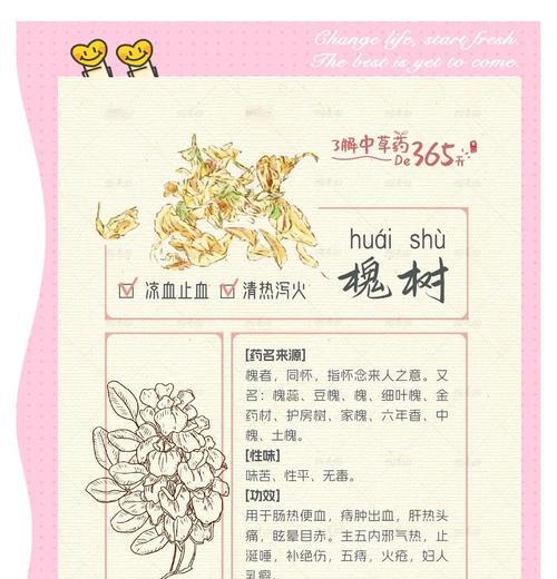 槐蕊花象征着什么？它的寓意有哪些？