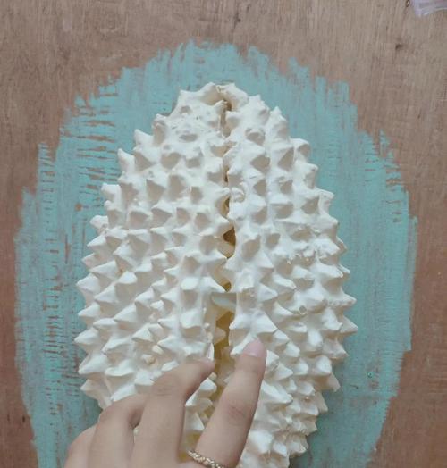 花加榴莲象征着什么？榴莲的寓意有哪些？