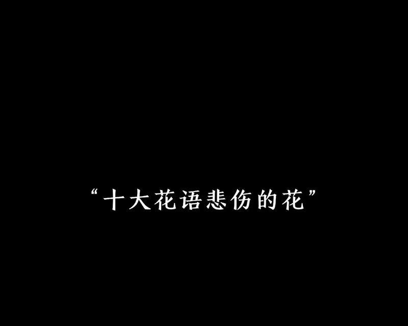 什么花的花语最伤感？揭秘那些令人感伤的花卉象征意义？