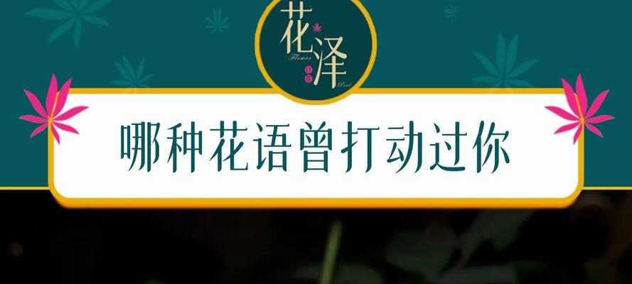什么花代表“我等你”的花语？如何表达等待的爱意？