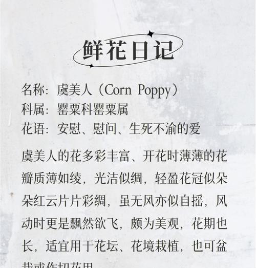 鱼美人花语代表什么含义？花语背后的故事是什么？