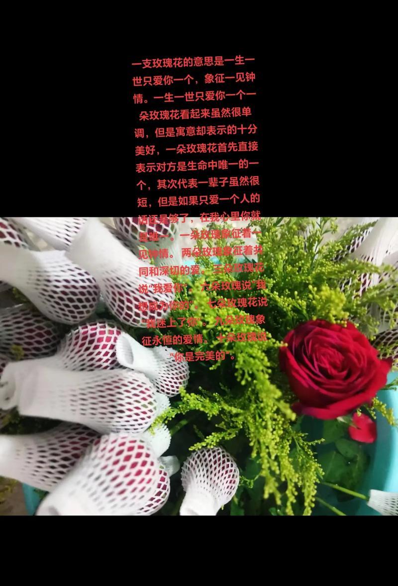 戴上玫瑰花珠链的寓意是什么？如何挑选适合的款式？