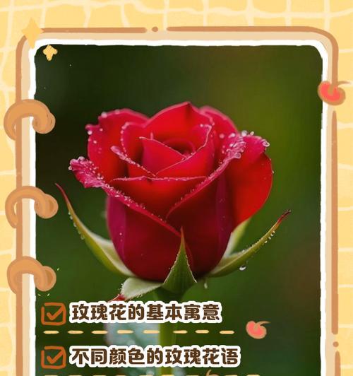 戴上玫瑰花珠链的寓意是什么？如何挑选适合的款式？