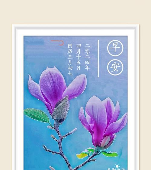 三旬花代表什么含义？三旬花的象征意义有哪些？