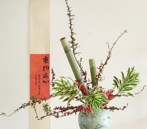 竹子花的寓意是什么？如何解读竹子开花的象征意义？