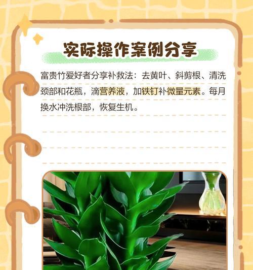 富贵竹叶子发黄的预防及救治方法？