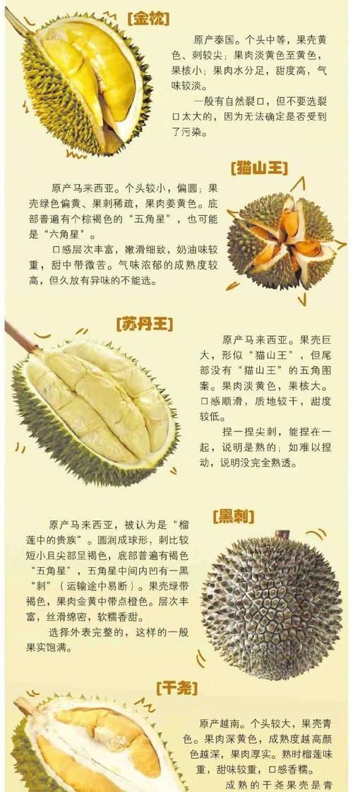 金坛子观赏植物有哪些？如何挑选适合的品种？