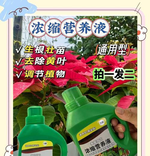 自制植物营养液的方法有哪些？