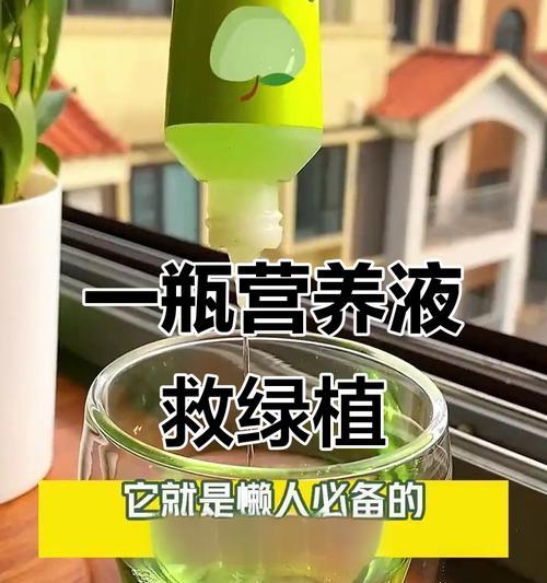 自制植物营养液的方法有哪些？