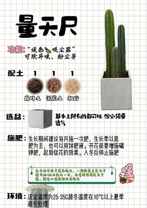 夏季绿化树施肥的正确技巧是什么？