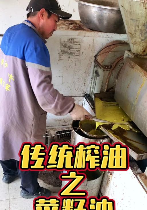 油菜籽苗的栽培技术要点是什么？