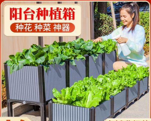 哪些观赏植物能在石壁上生长？