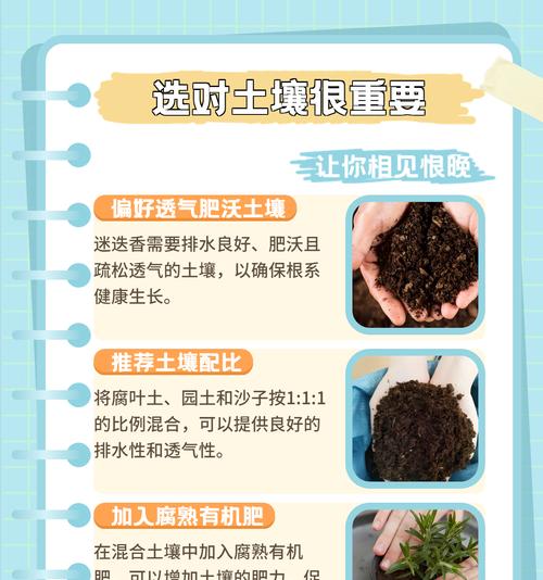 芳香植物香草有哪些独特特点？如何选择？