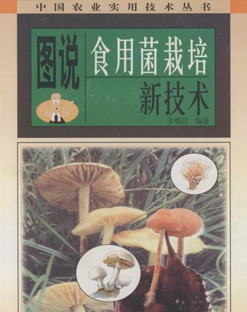 食用菌栽培透气技术？有哪些高效栽培方法？