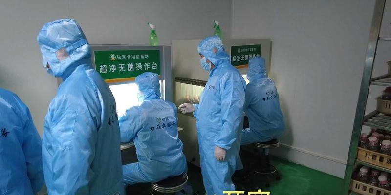 食用菌栽培透气技术？有哪些高效栽培方法？