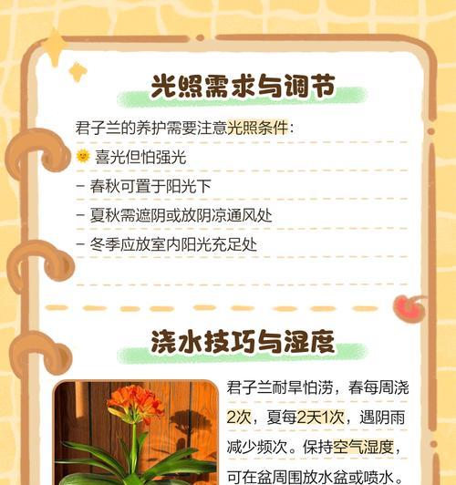 君子兰需要抹油吗？抹油的方法是什么？