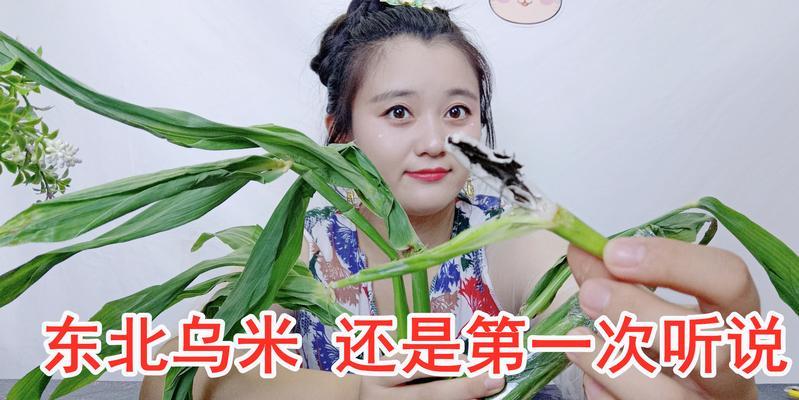 自制乌米菌肥料的方法是什么？乌米菌肥料的优势在哪里？