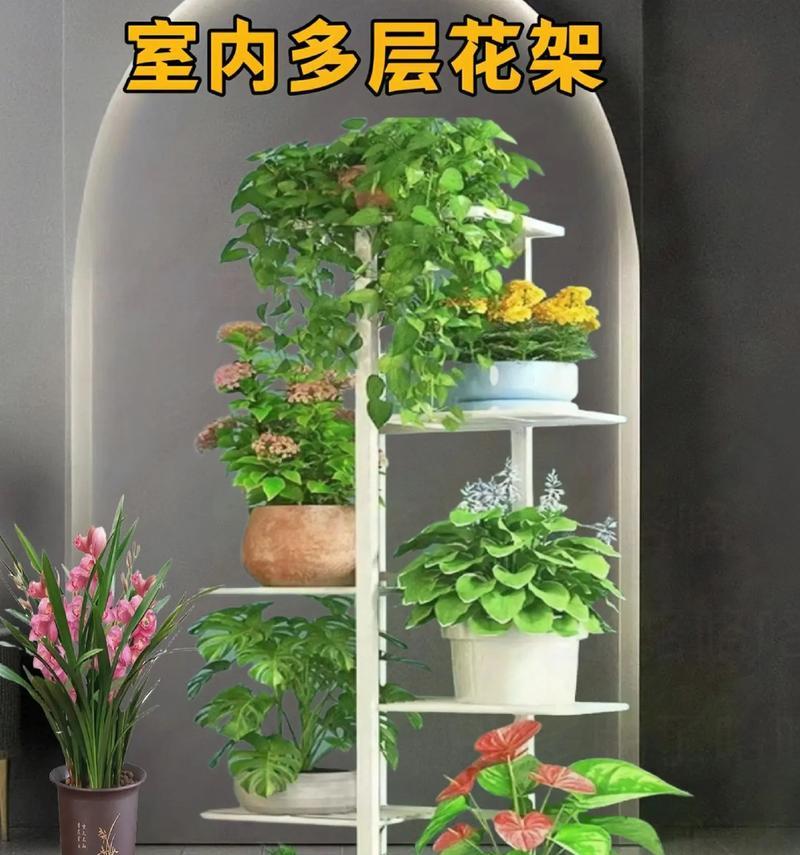 阳台摆花的矮架叫什么？如何选择合适的花架？