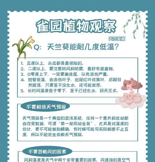 天竺葵肯尼如何度夏？养护技巧有哪些？
