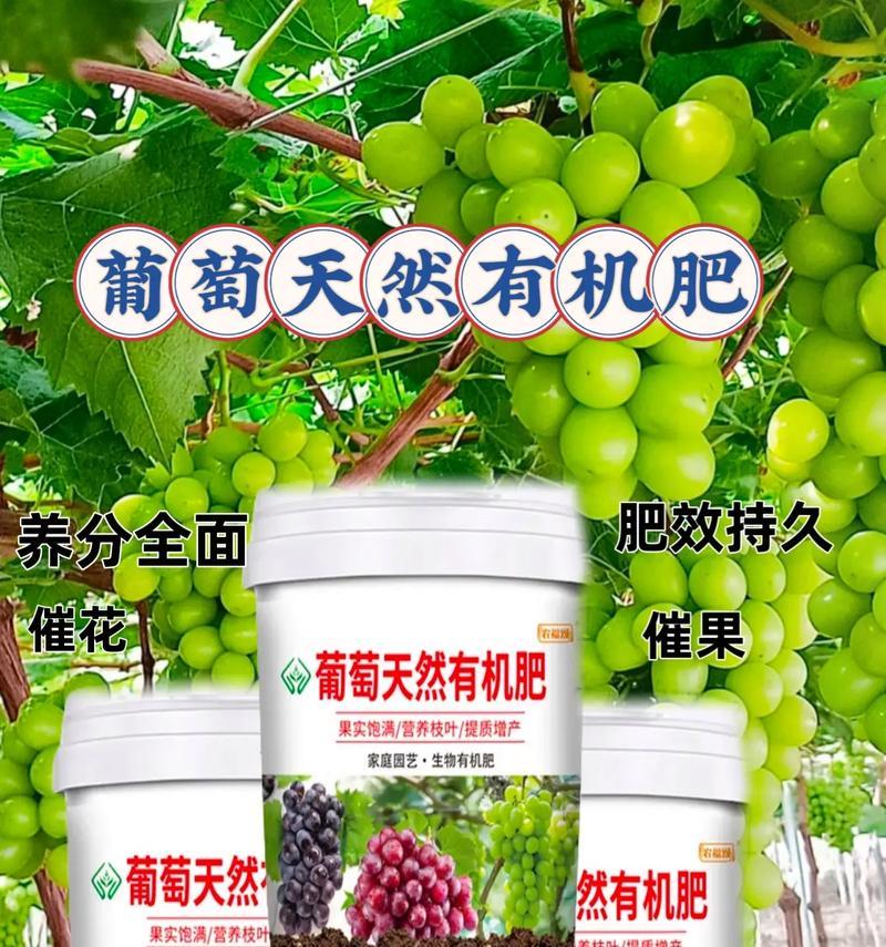 播种底肥选择什么肥料效果最佳？