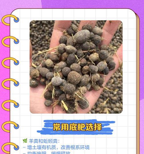 播种底肥选择什么肥料效果最佳？