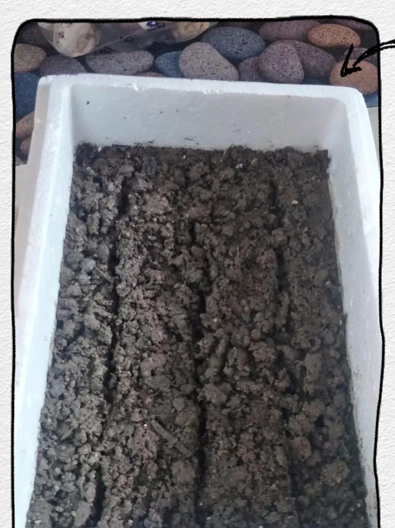 自制竹叶肥料的方法有哪些？