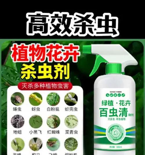 月季蚜虫喷剂的正确使用方法是什么？