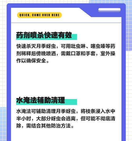 月季蚜虫喷剂的正确使用方法是什么？