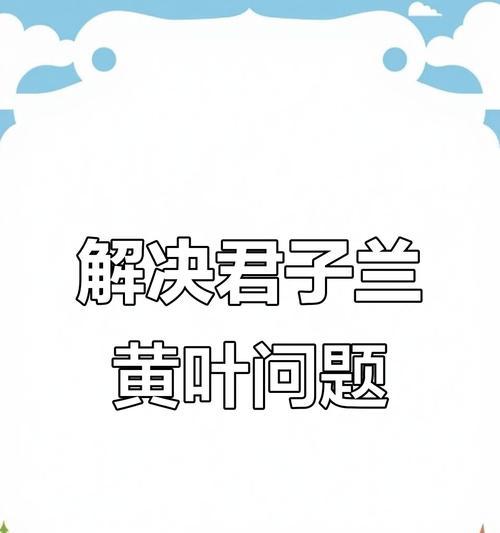 君子兰叶子发黄如何急救？