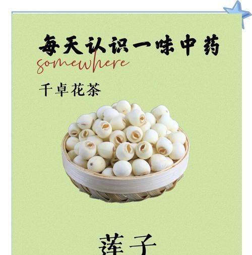 莲蓬主要靠什么传播种子？莲蓬种子传播的方式有哪些？