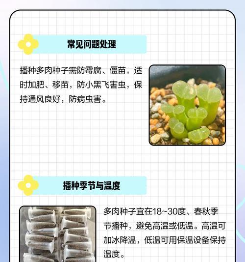 哪些季节播种种子存活率更高？