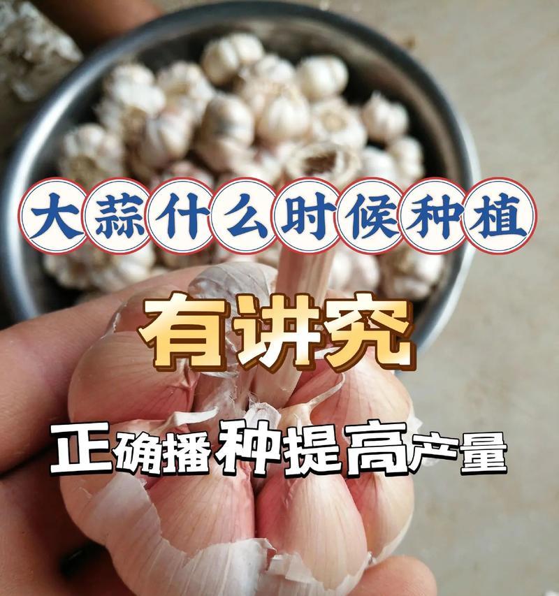 第2季什么时候播种的？第二季度播种的最佳时间是什么时候？