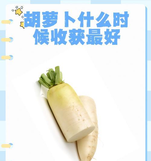第2季什么时候播种的？第二季度播种的最佳时间是什么时候？