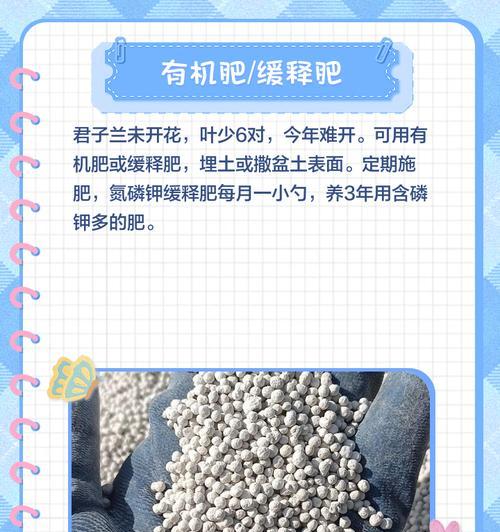 君子兰日常施肥应该选择哪些肥料？