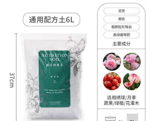 月季育苗椰砖养护方法是什么？