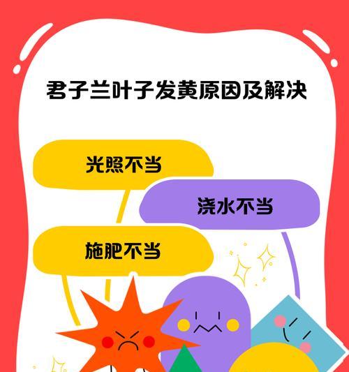 君子兰长锈点的原因及解决方法是什么？