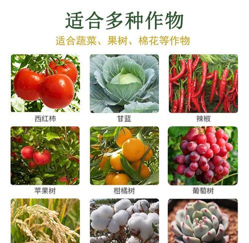 君子兰土壤中出现苍蝇的原因及处理方法？