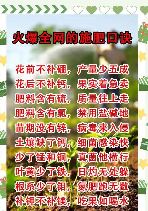 自动化施肥有哪些技巧？