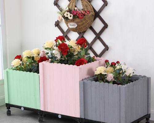 油泥葡萄叶子发黄的处理方法是什么？