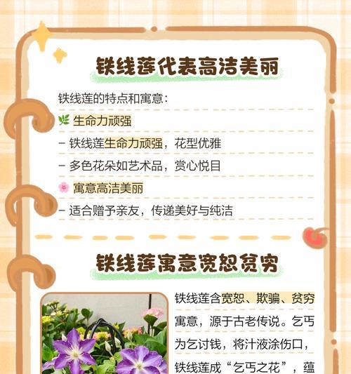 铁线莲牵引方法是什么？怎样正确引导铁线莲生长？