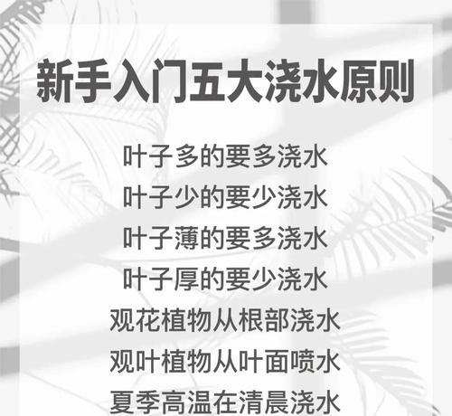 北方种植时正确的浇水方法是什么？