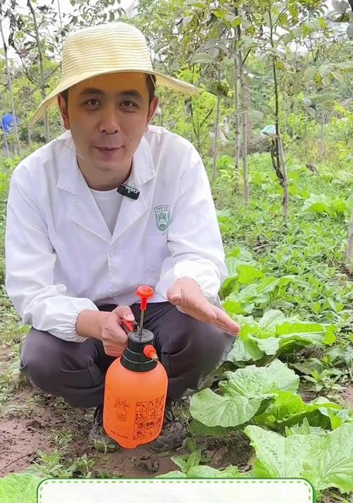 北方种植时正确的浇水方法是什么？