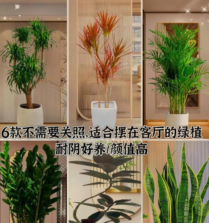 北方种植时正确的浇水方法是什么？