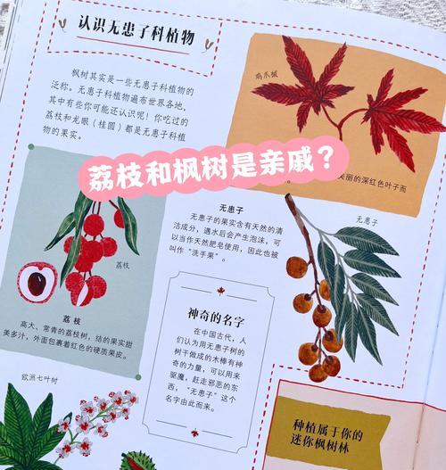 木本植物叶片变红的原因及处理方法？
