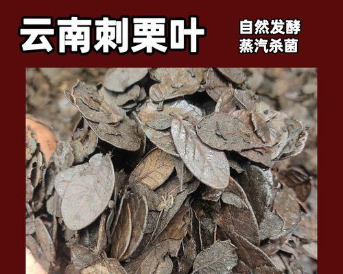 君子兰修剪叶子和根部的正确方法是什么？