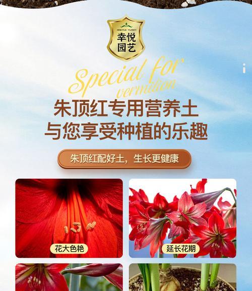 朱顶红施肥的最佳肥料是什么？如何正确施肥促进球茎生长？