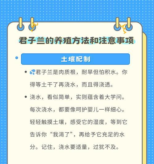 君子兰种子剪取方法是什么？如何正确进行？