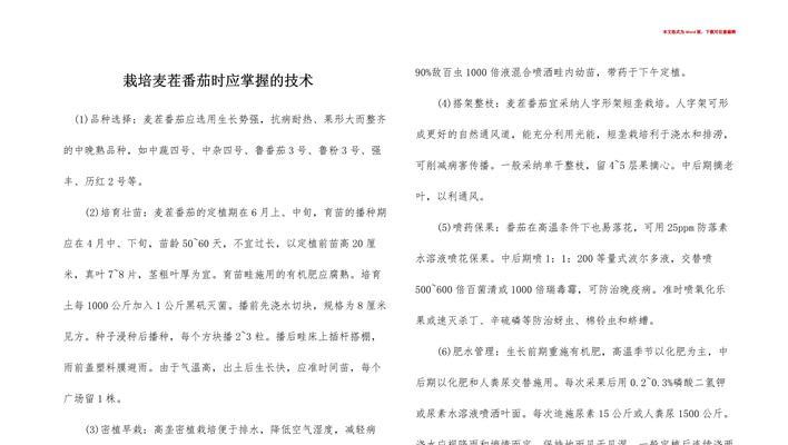 单沟番茄栽培技术要点有哪些？如何提高产量？