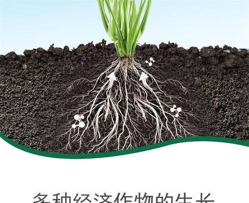 自制高酸性水溶肥料的方法和步骤是什么？